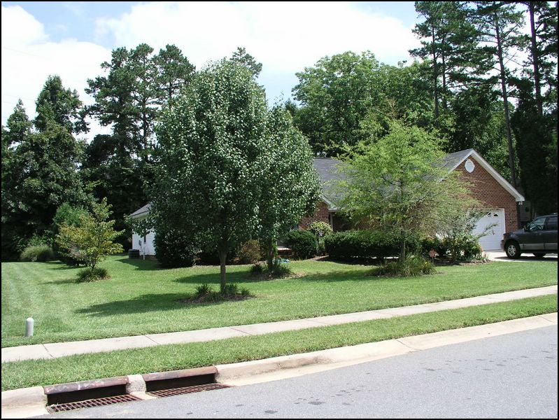 house-2110-brandywine-09.jpg
