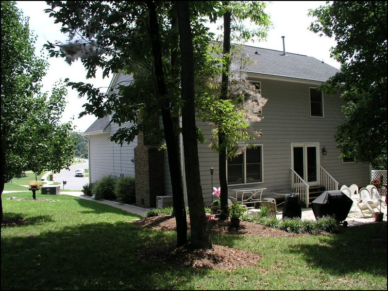 house-2132-brandywine-38.jpg
