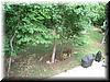 house-2132-brandywine-20.jpg