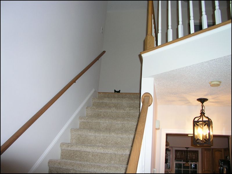 house-9828-edwards-place-25.jpg